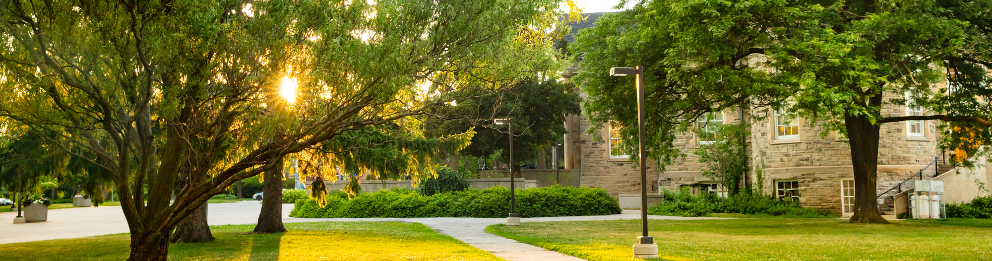 U of Guelph Crellman Hall at sunset through some trees