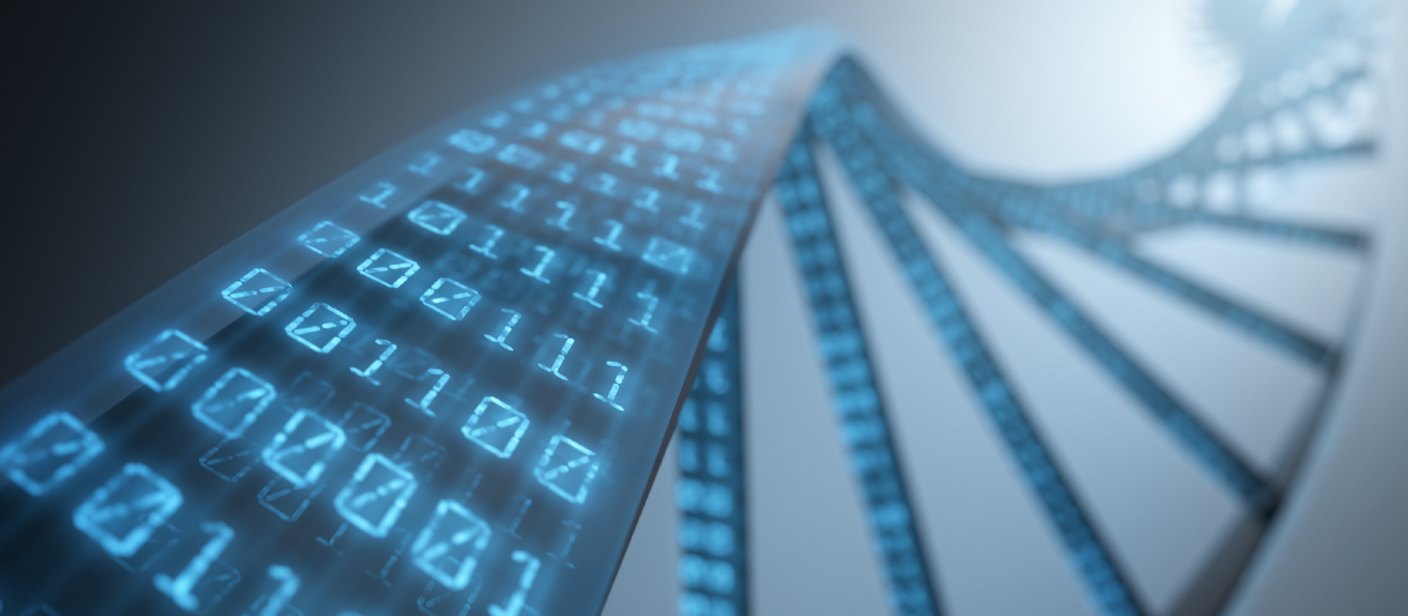 Illustration of double helix with binary code