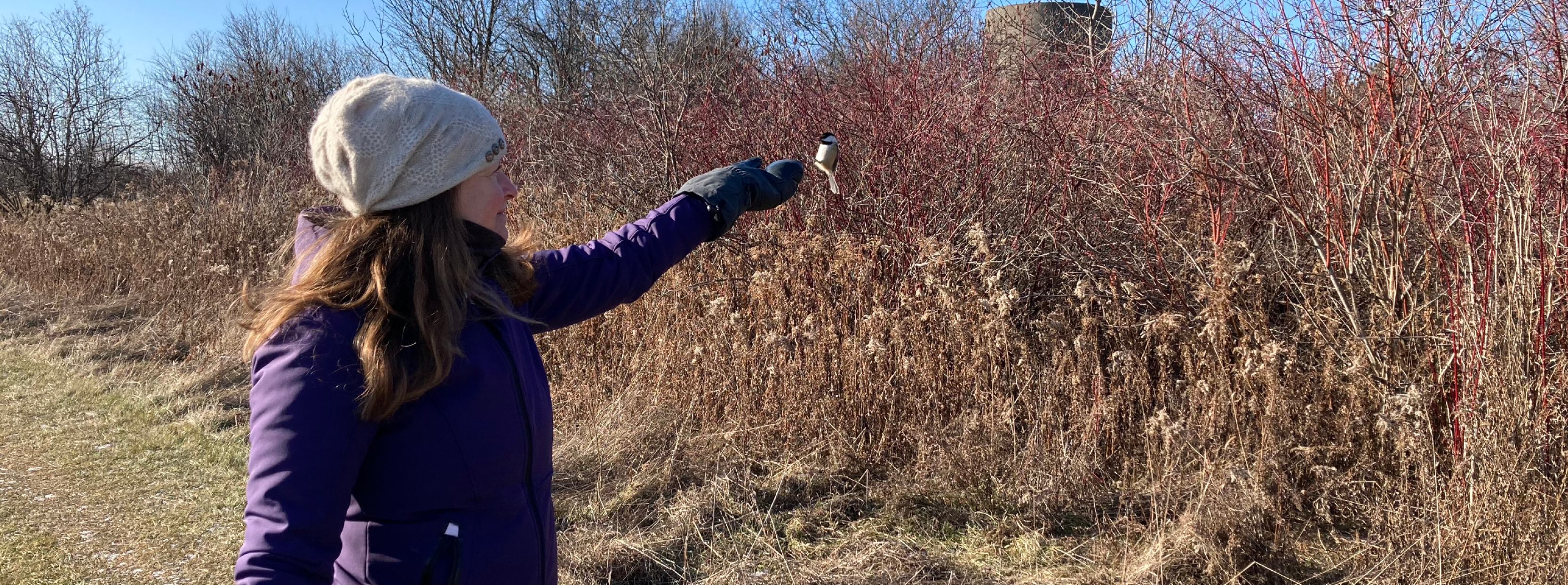 Conservation Leadership at U of Guelph - link to brochure