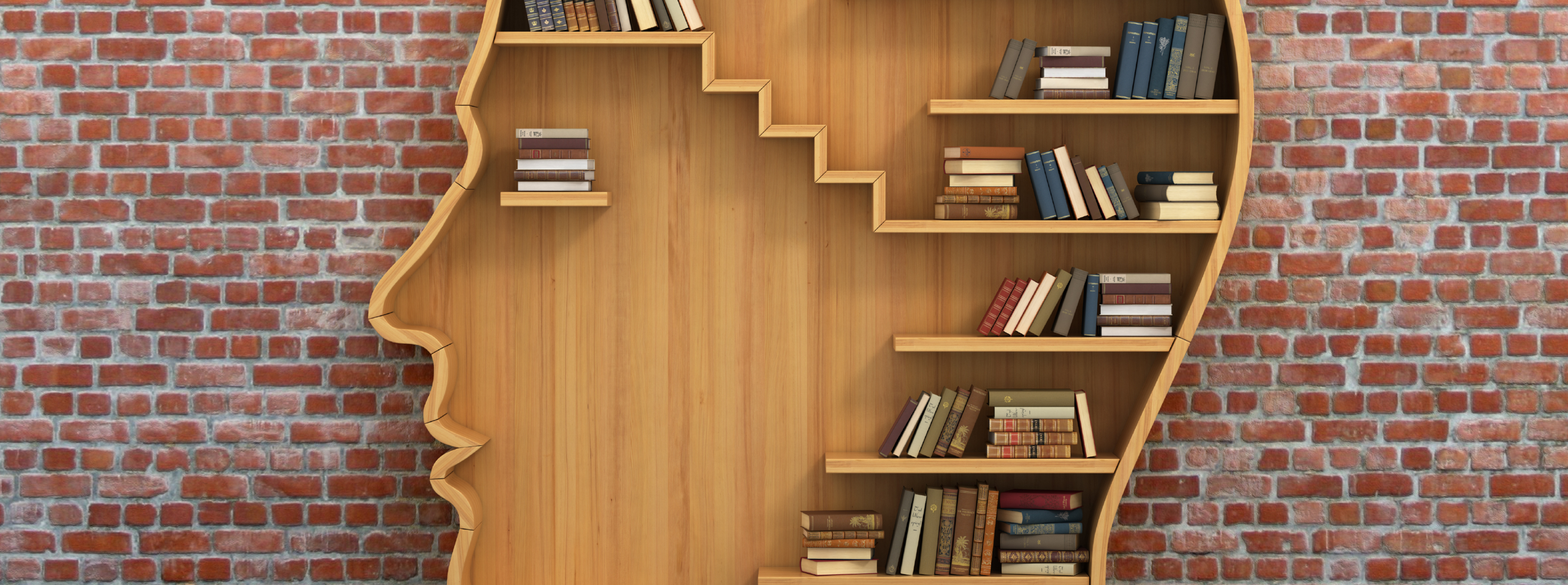 Creative Writing MFA at U of Guelph - link to program brochure