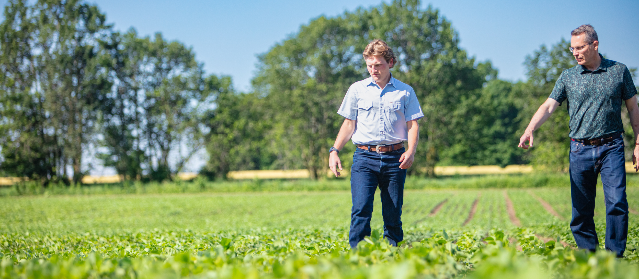 Plant Agriculture MSc, PhD at U of Guelph - link to brochure