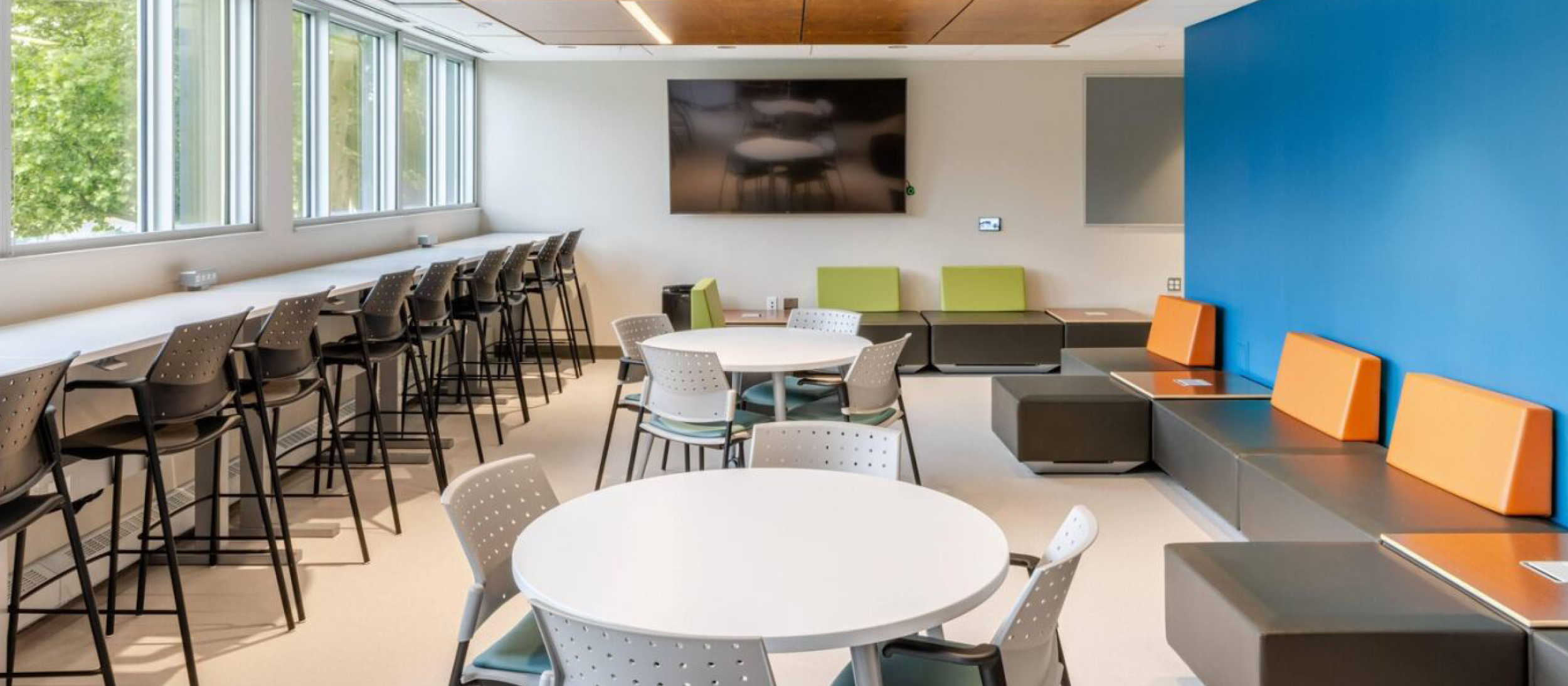 Mental Health MA Program at U of Guelph - link to brochure