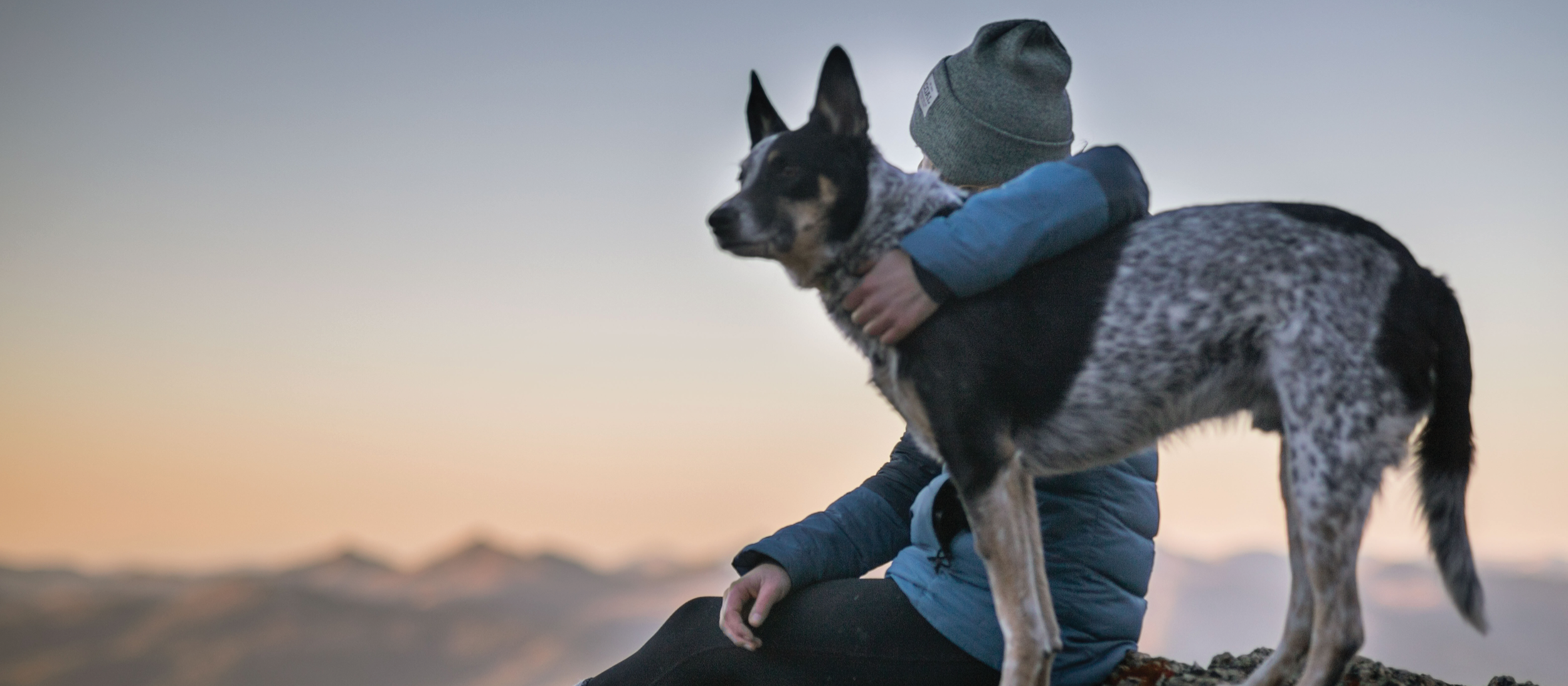 Person hugging a dog while the both stand on a mountain