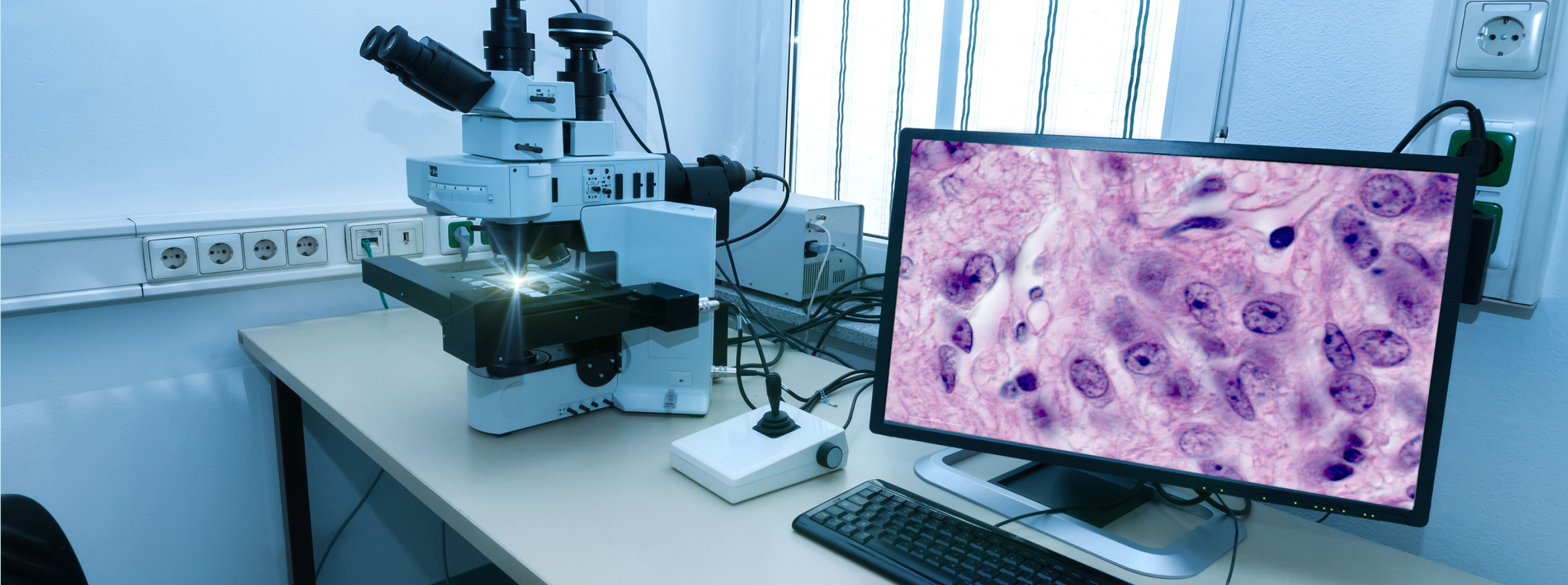 Pathobiology at U of Guelph - link to brochure