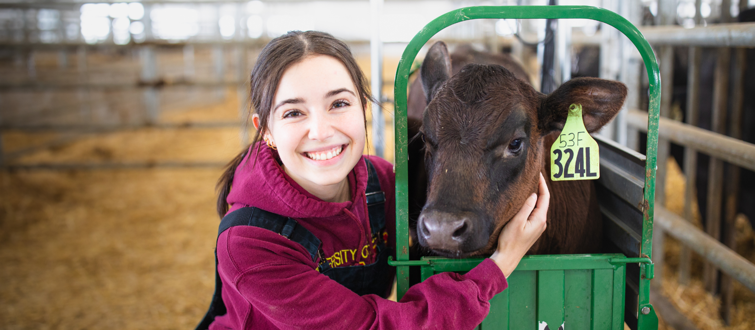 Population Medicine at U of Guelph - link to brochure
