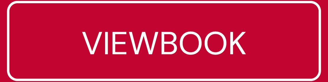 text: Viewbook