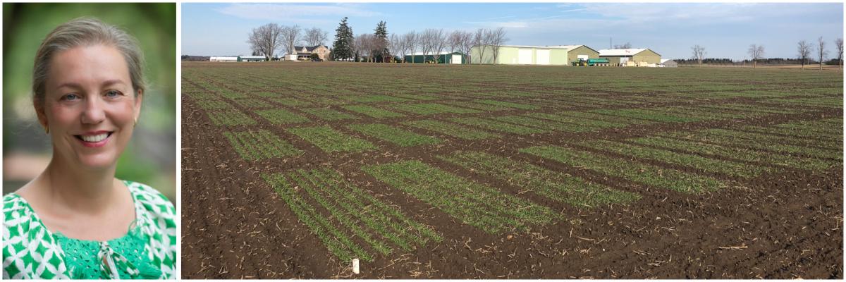 Portrait of Dr. Helen Booker, and  winter wheat yield trials planted Fall 2021 at Elora Research Station, Elora, ON, Canada