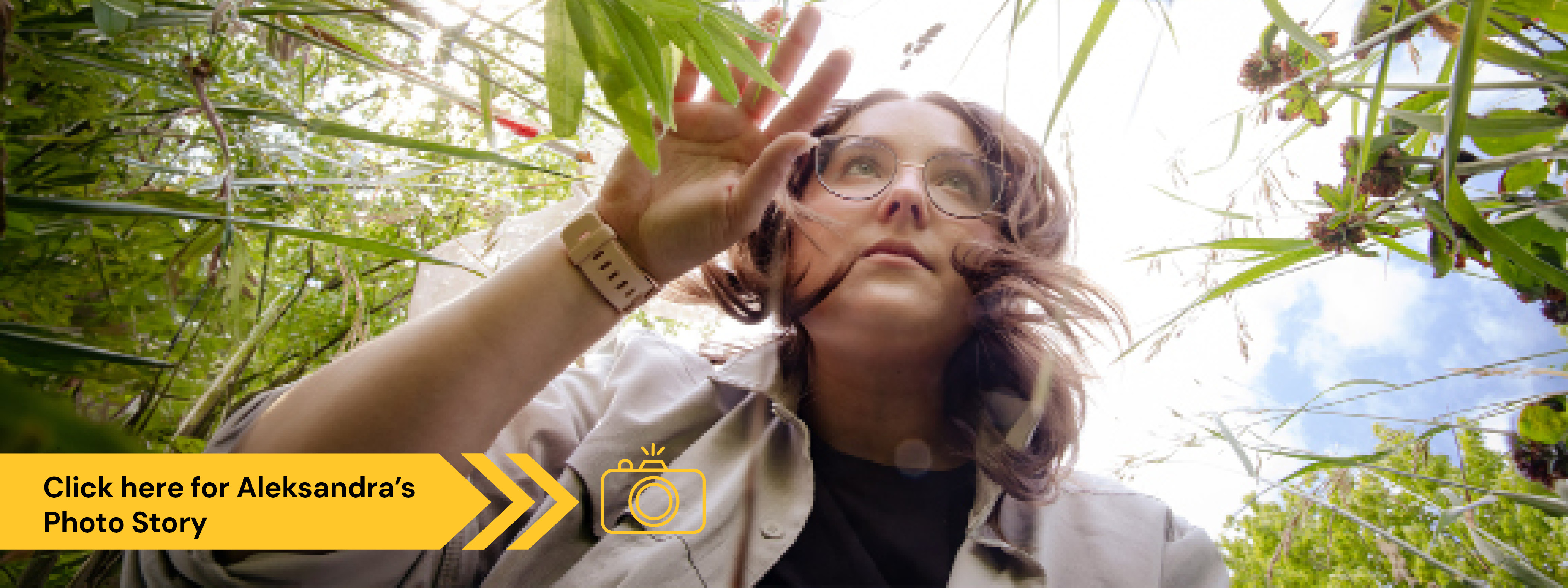 Aleksandra Dolezal, Integrative Biology PhD candidate
