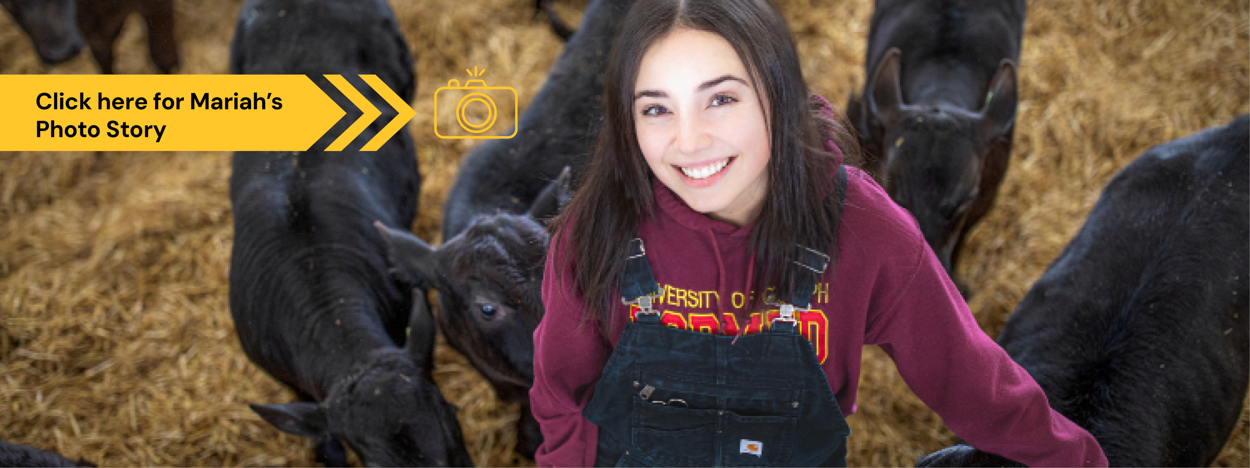 Mariah Crevier | MSc Population Medicine, Epidemiology at U of Guelph