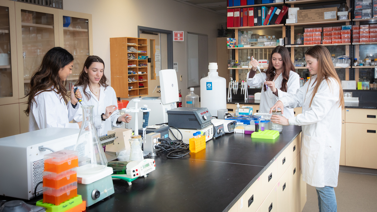 four graduate students working in a lab