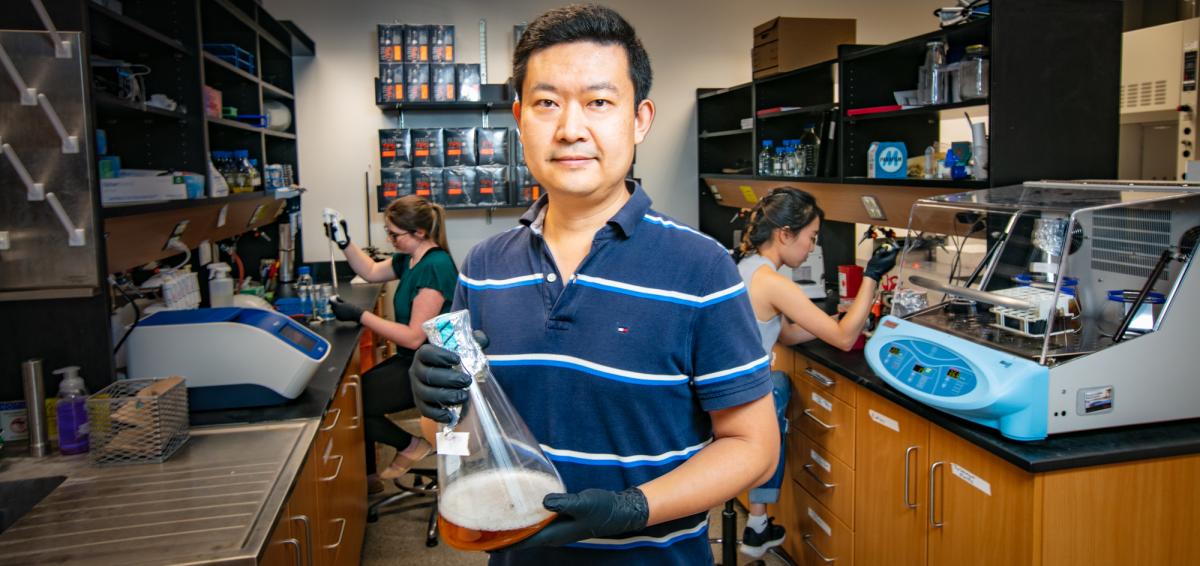 UofG Molecular & Cellular Biology Professor Wei Zhang in his lab