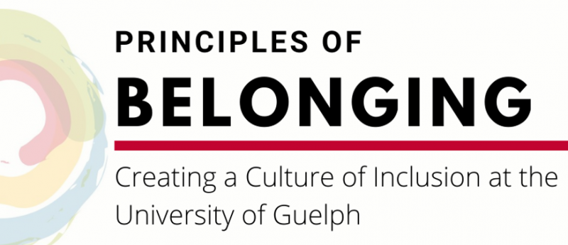 Principles of Belonging: creating a culture of inclusion at the University of Guelph