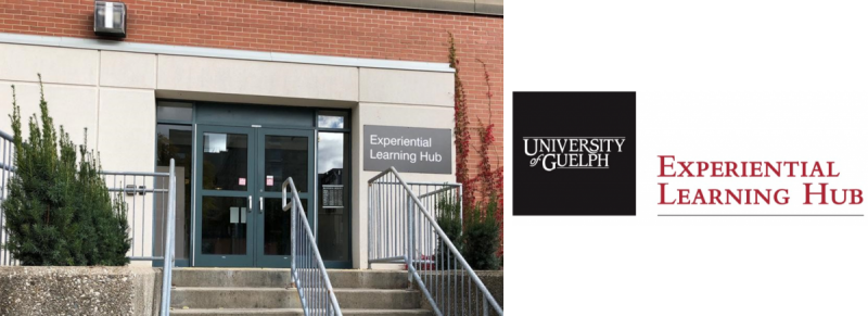 Experiential Learning Hub and the library logo