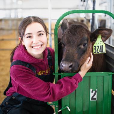 U of Guelph Population Medicine Epidemiology MSc student, Mariah Crevier weighing a calf